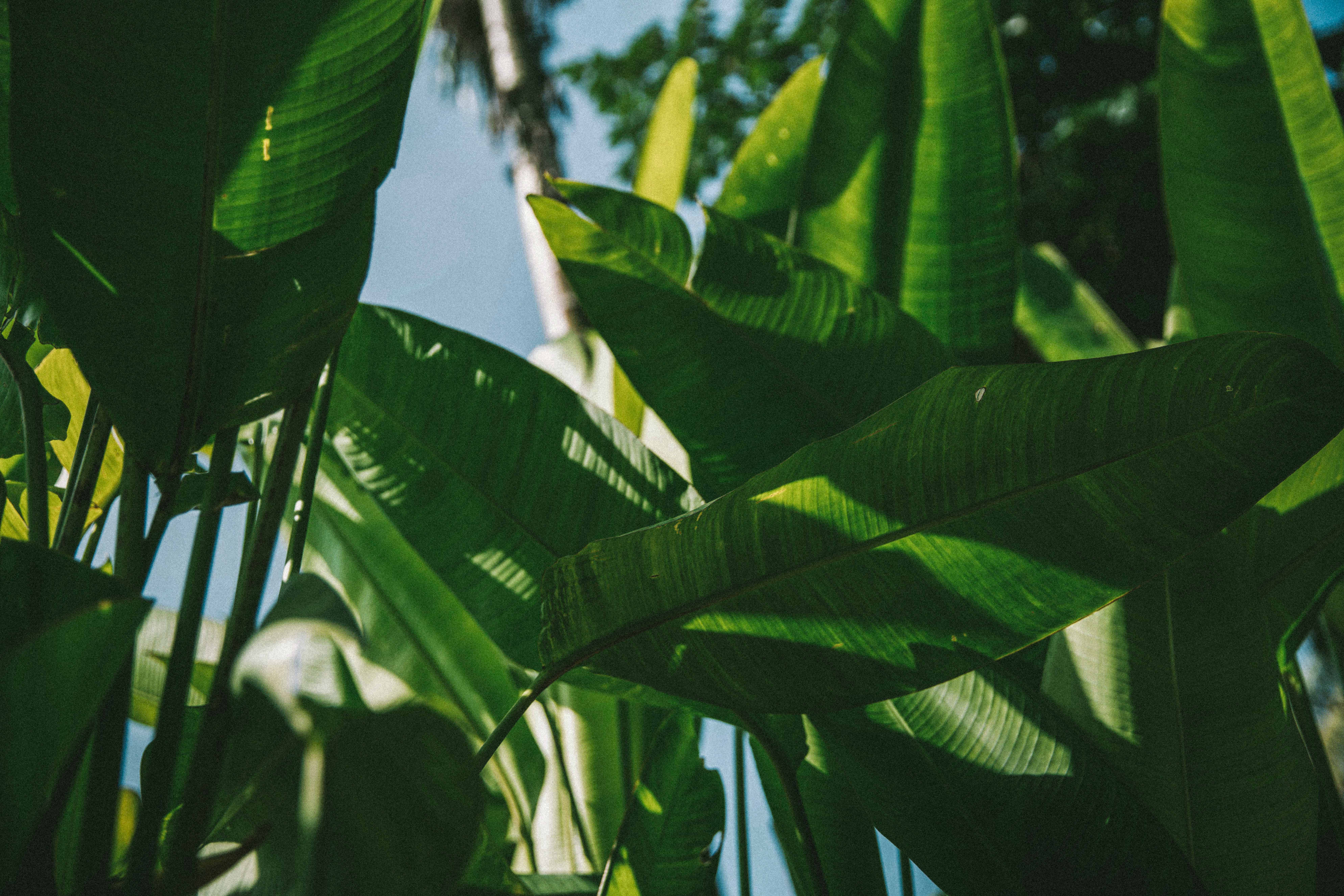 SEBASTIAN KNOTH FOTOGRAFIE