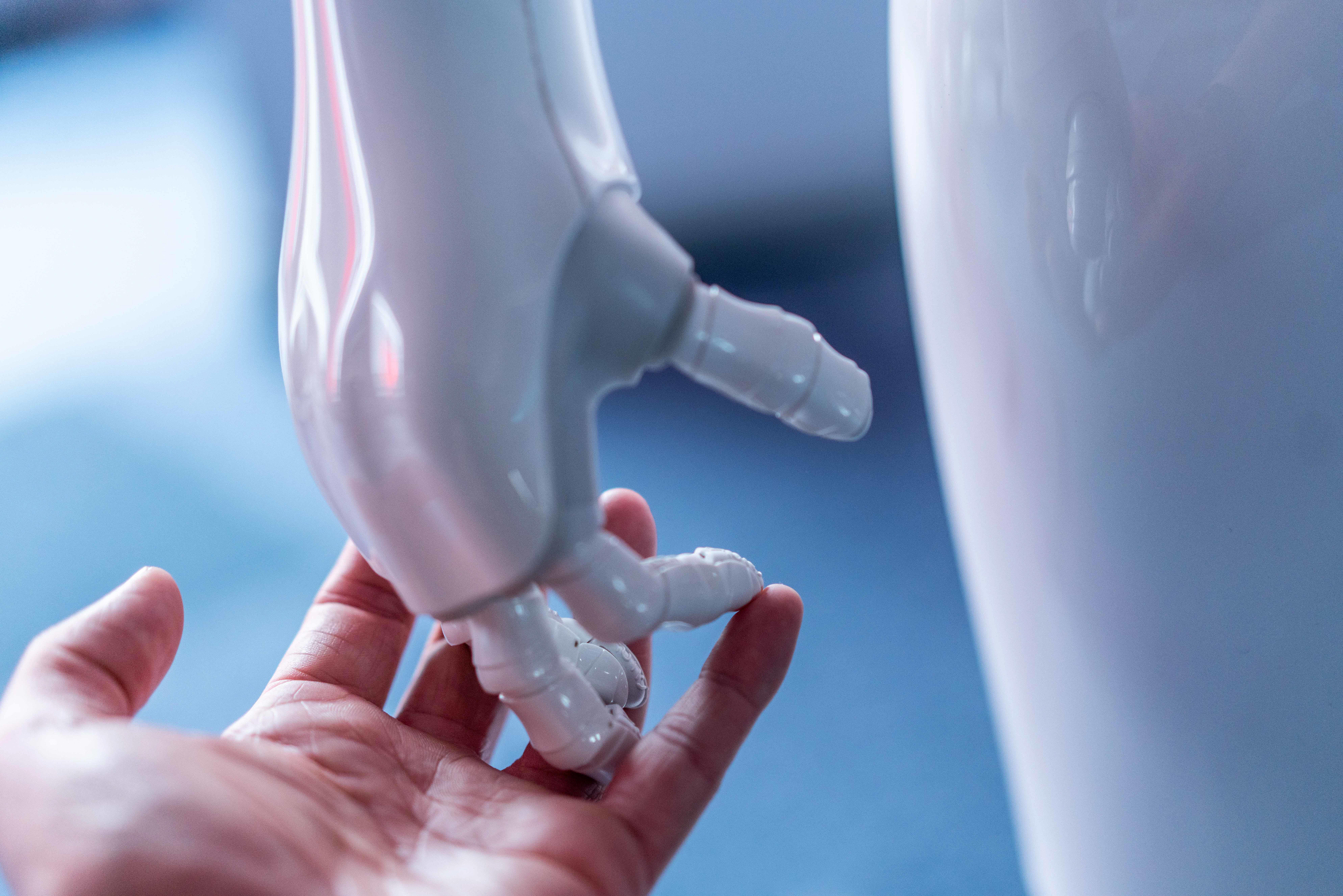 SEBASTIAN KNOTH FOTOGRAFIE