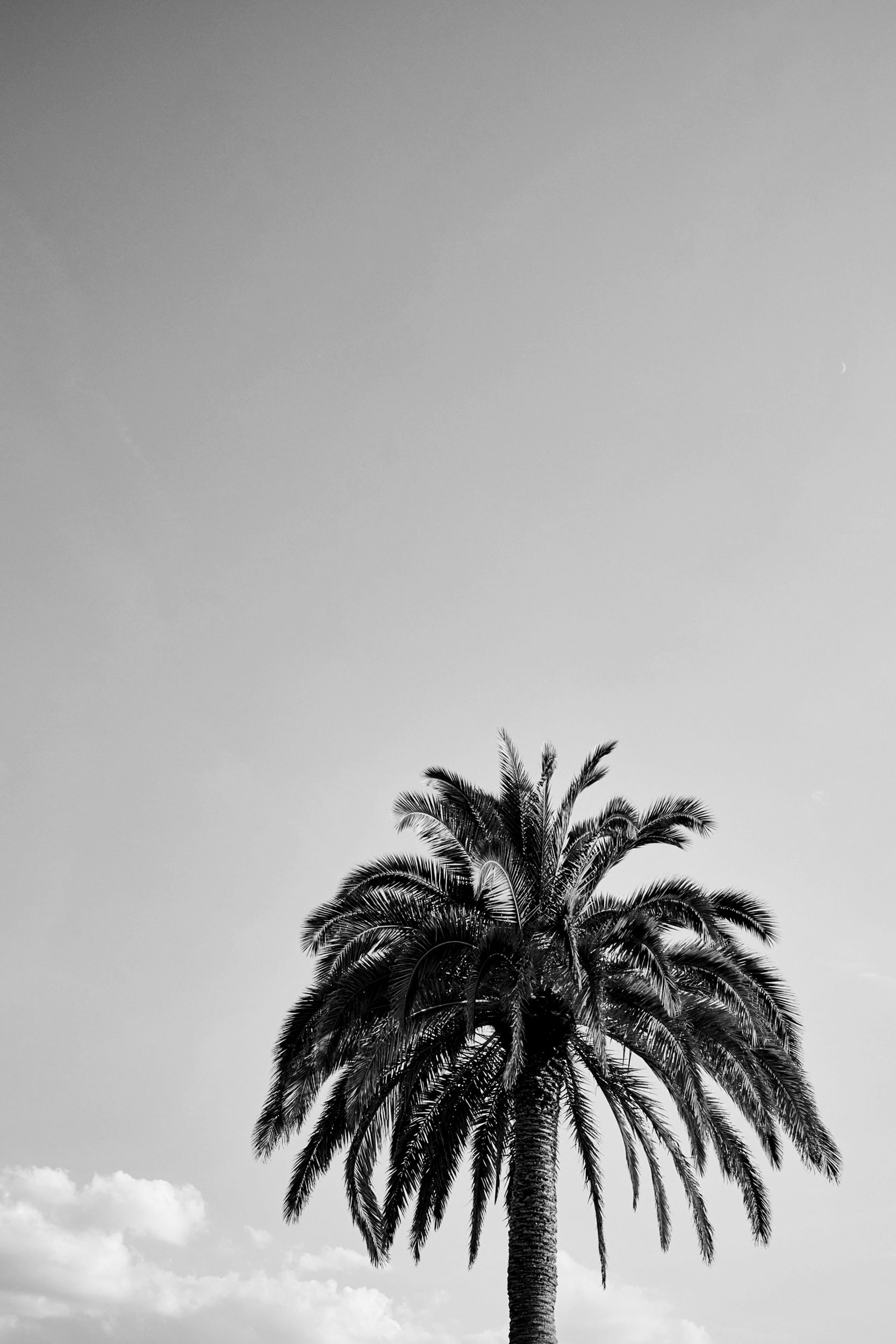 SEBASTIAN KNOTH FOTOGRAFIE