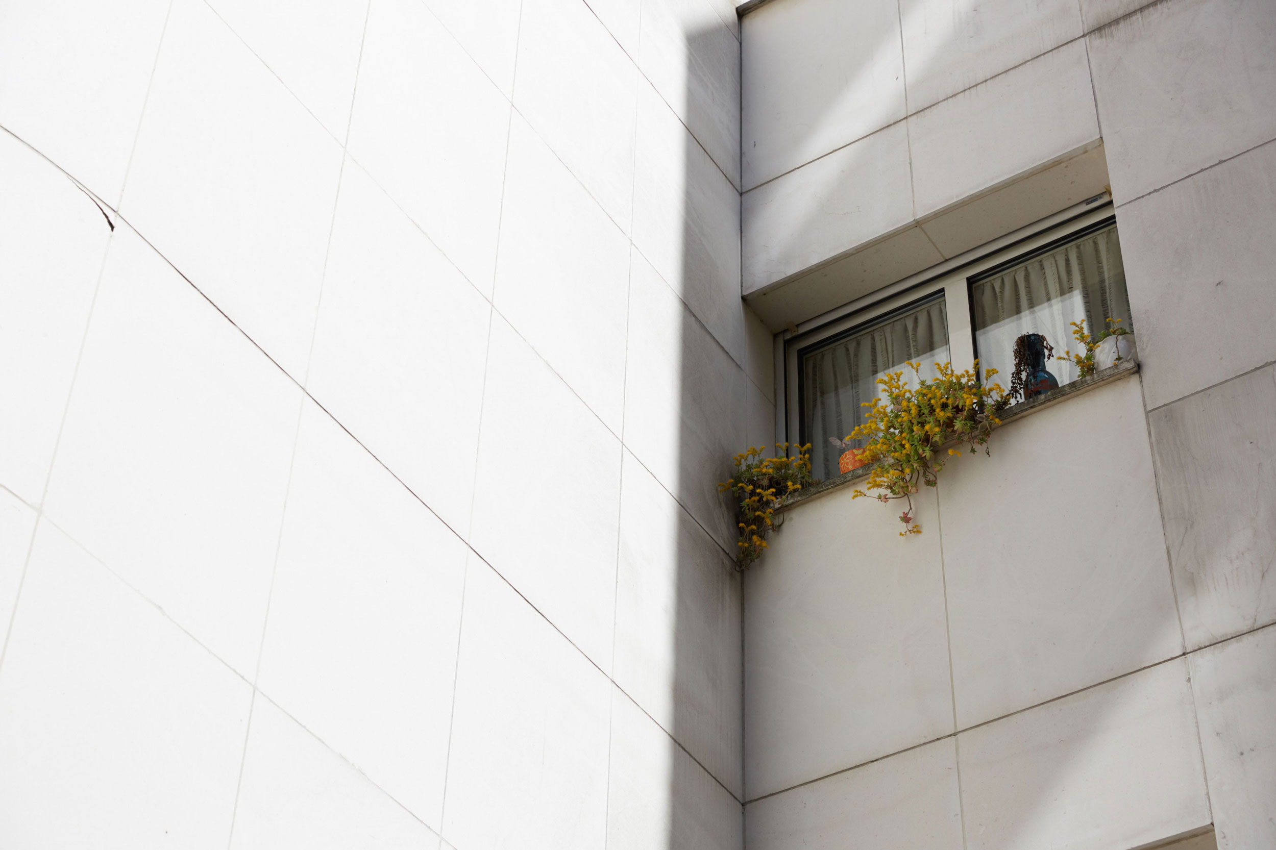 SEBASTIAN KNOTH FOTOGRAFIE