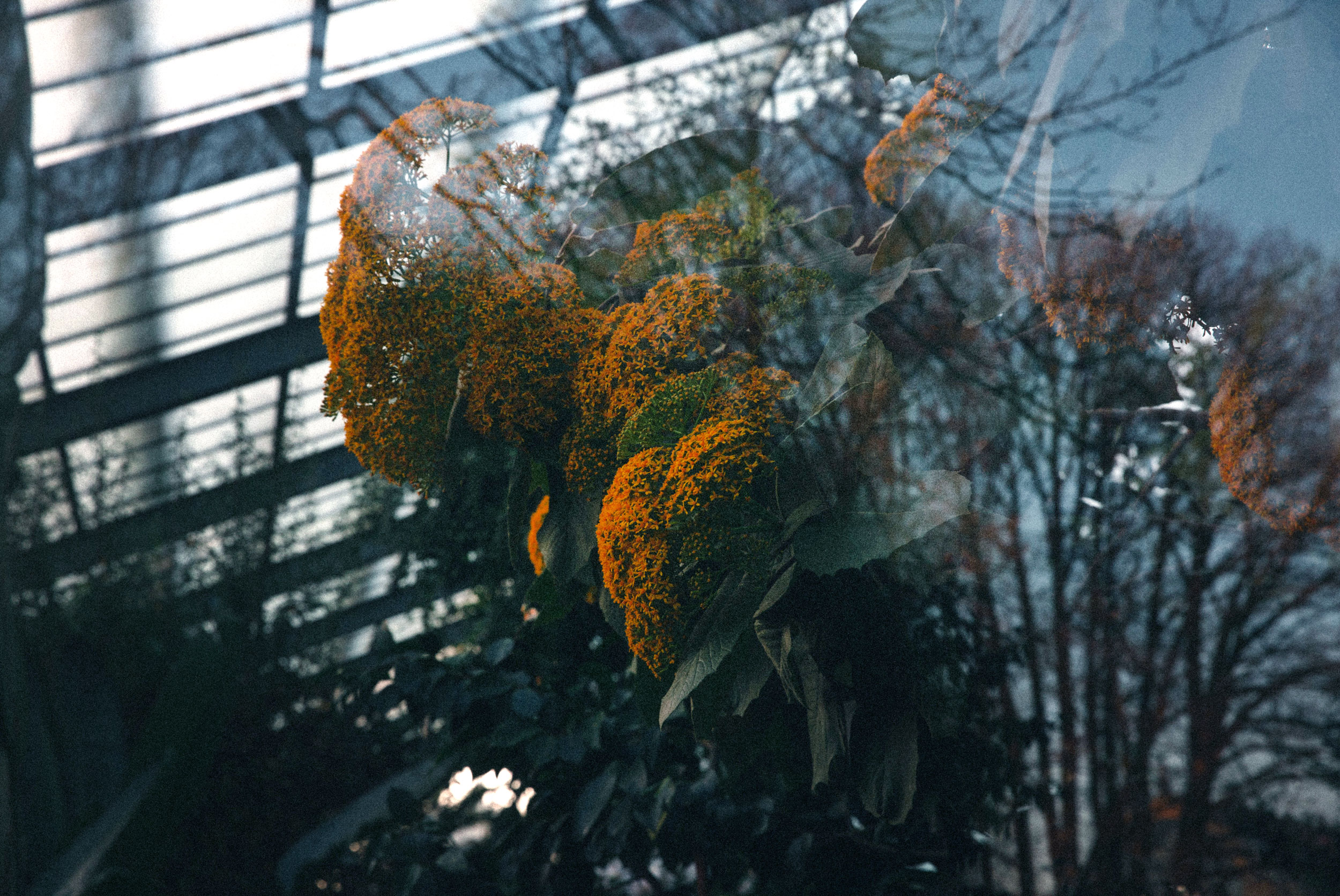 SEBASTIAN KNOTH FOTOGRAFIE