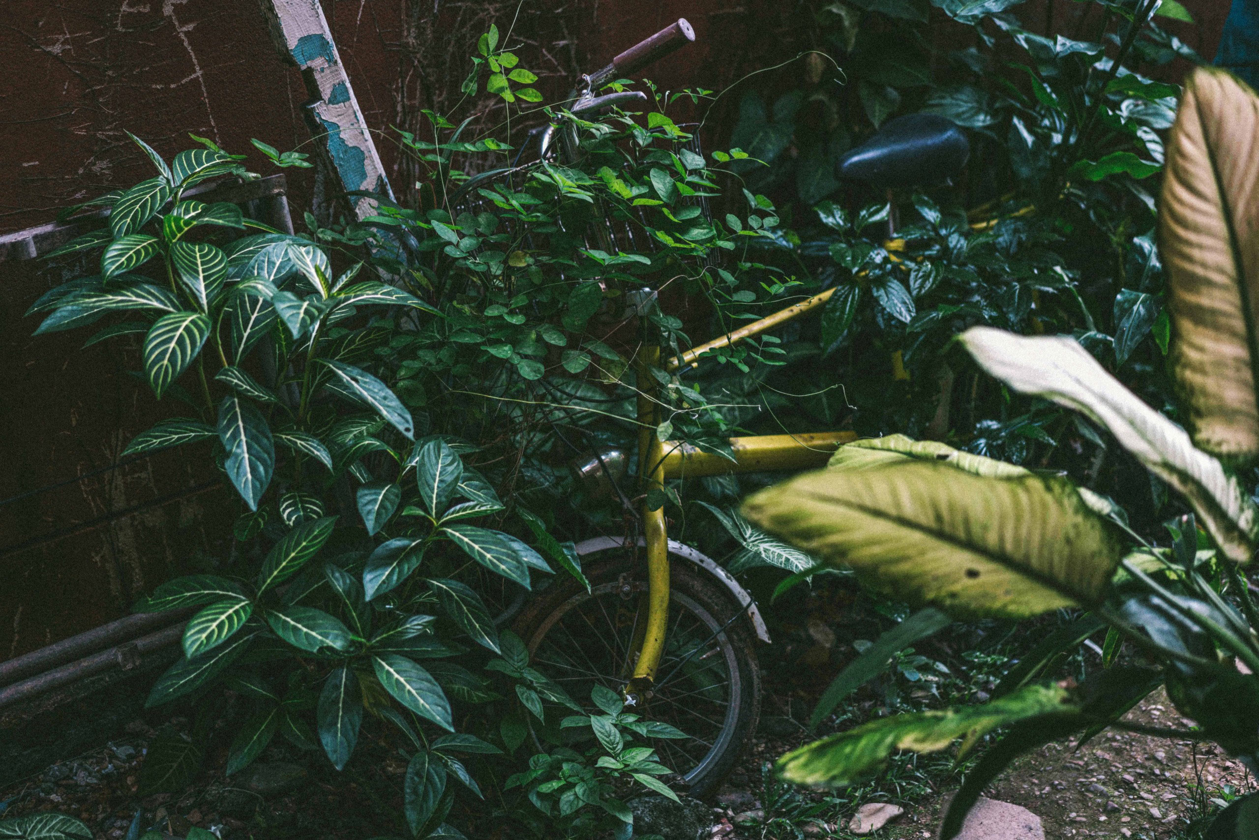 SEBASTIAN KNOTH FOTOGRAFIE