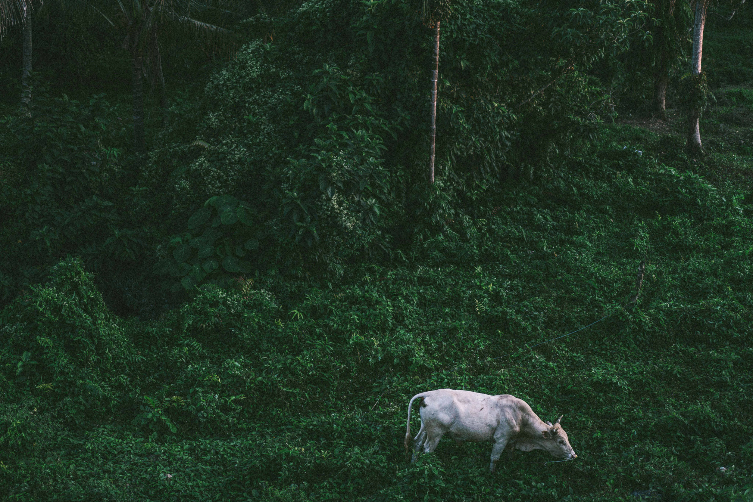 SEBASTIAN KNOTH FOTOGRAFIE