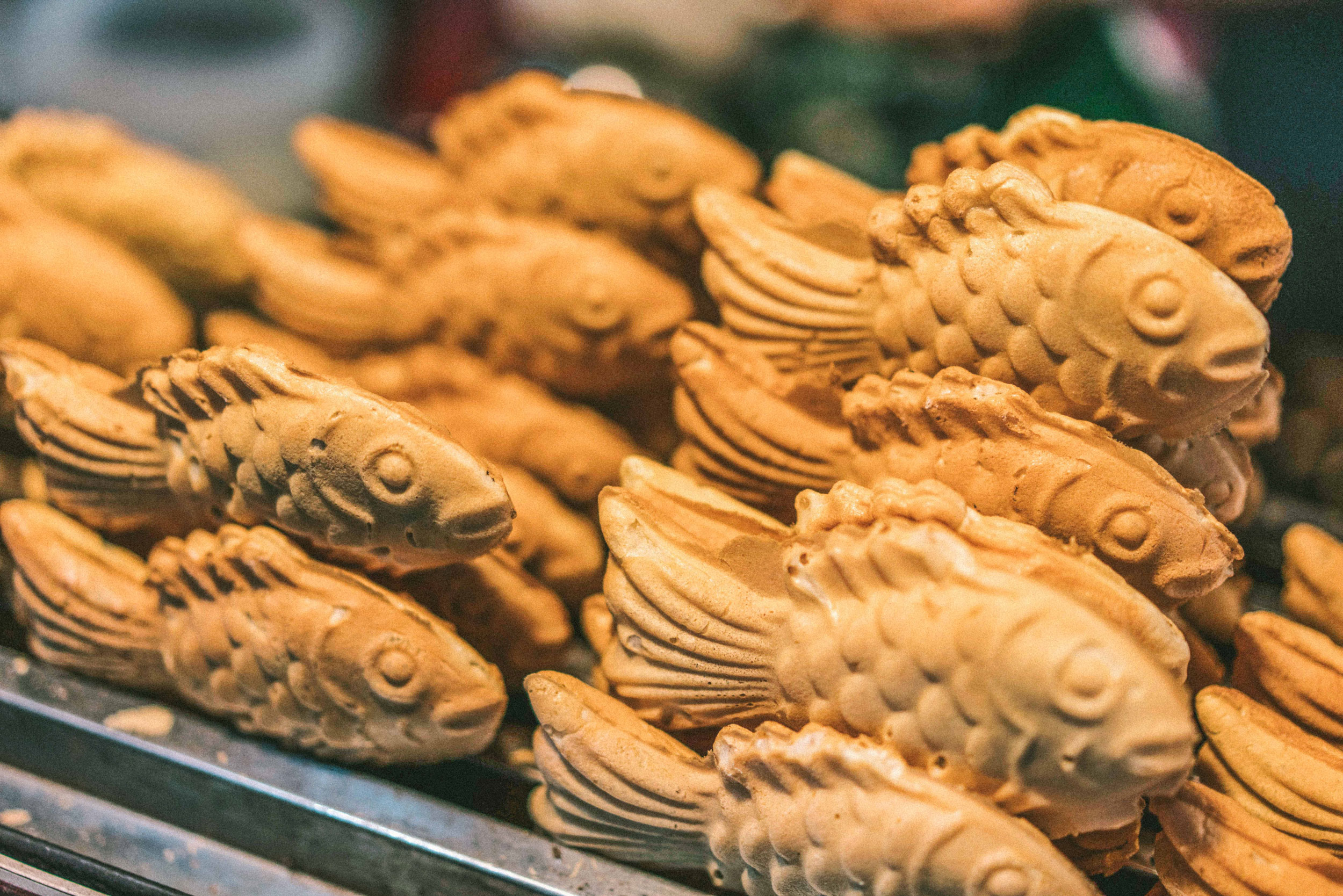 SEBASTIAN KNOTH FOTOGRAFIE