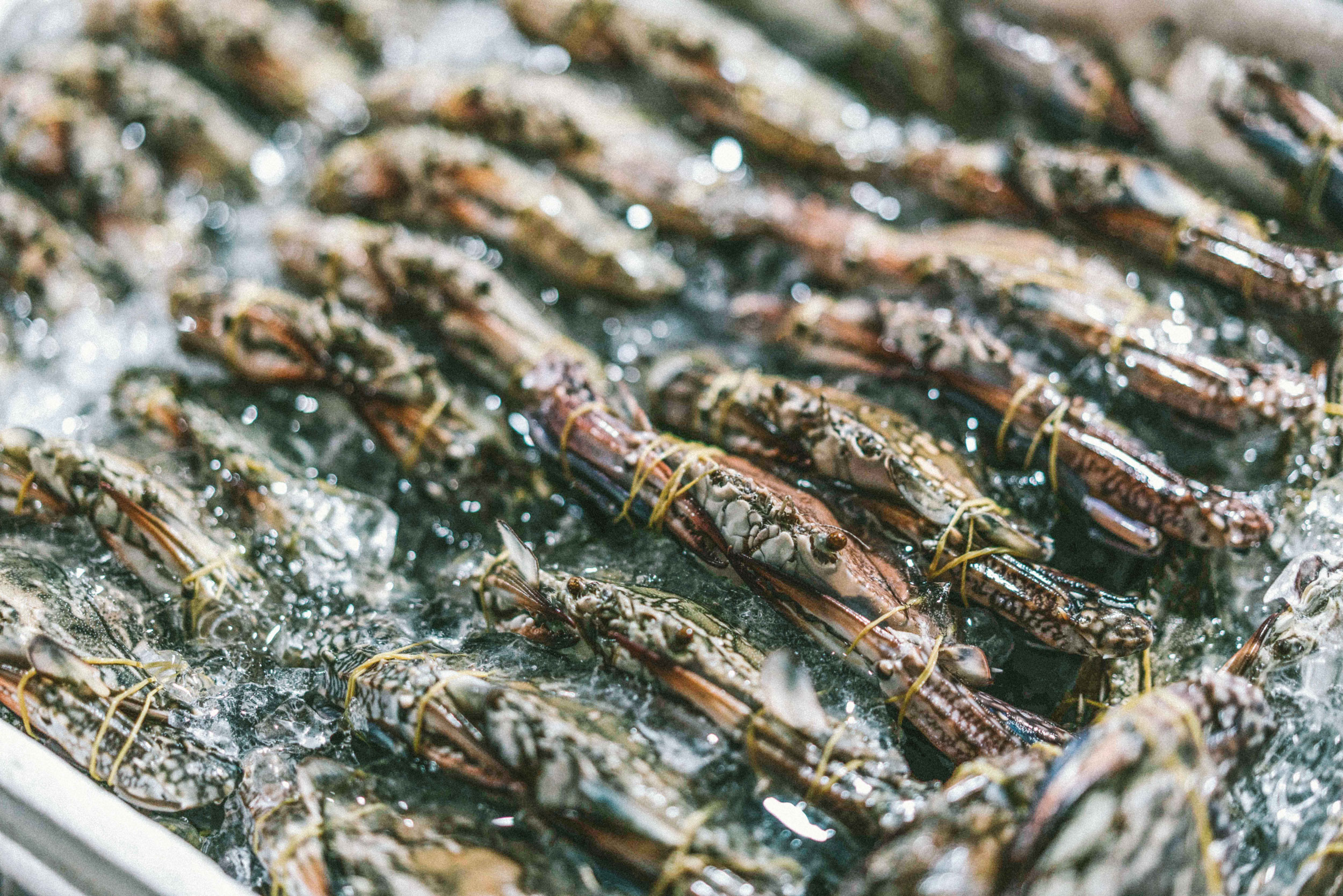 SEBASTIAN KNOTH FOTOGRAFIE