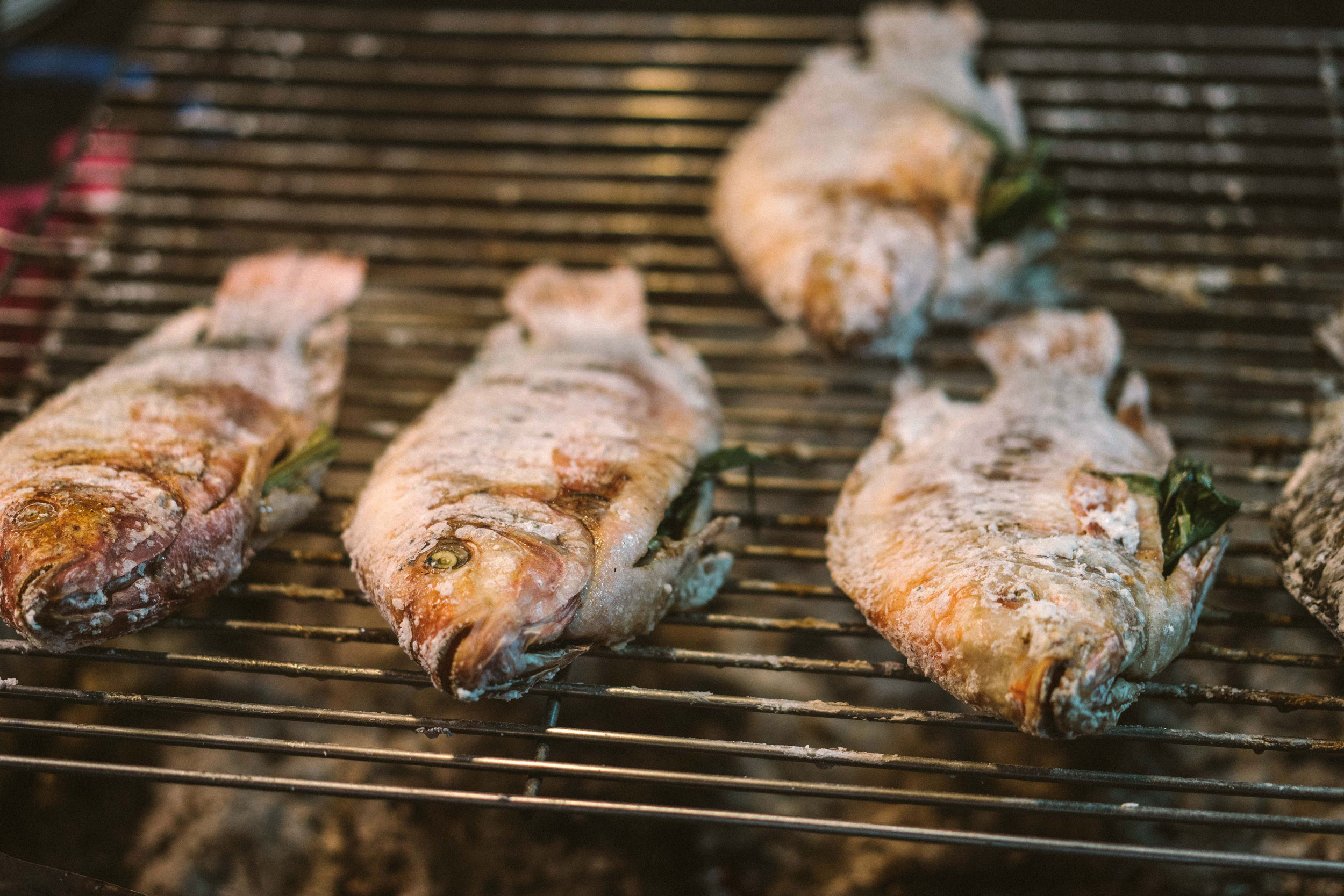 SEBASTIAN KNOTH FOTOGRAFIE