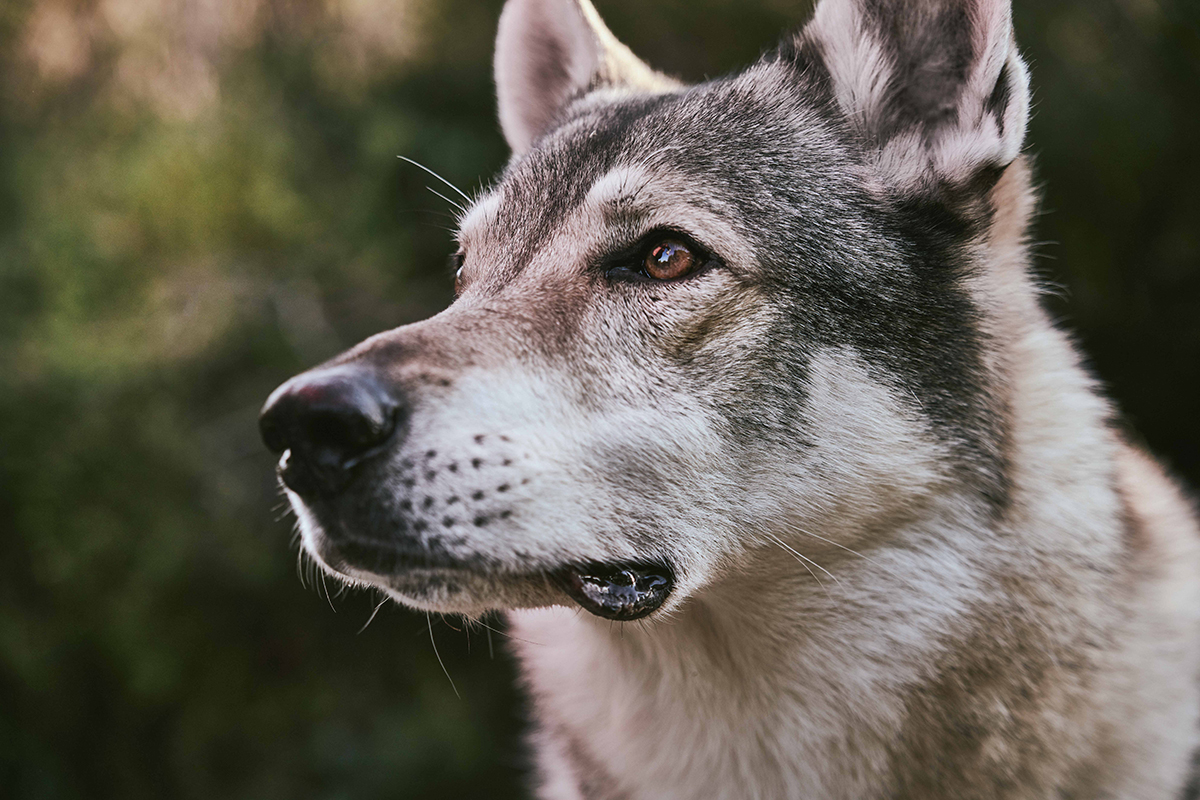SEBASTIAN KNOTH FOTOGRAFIE
