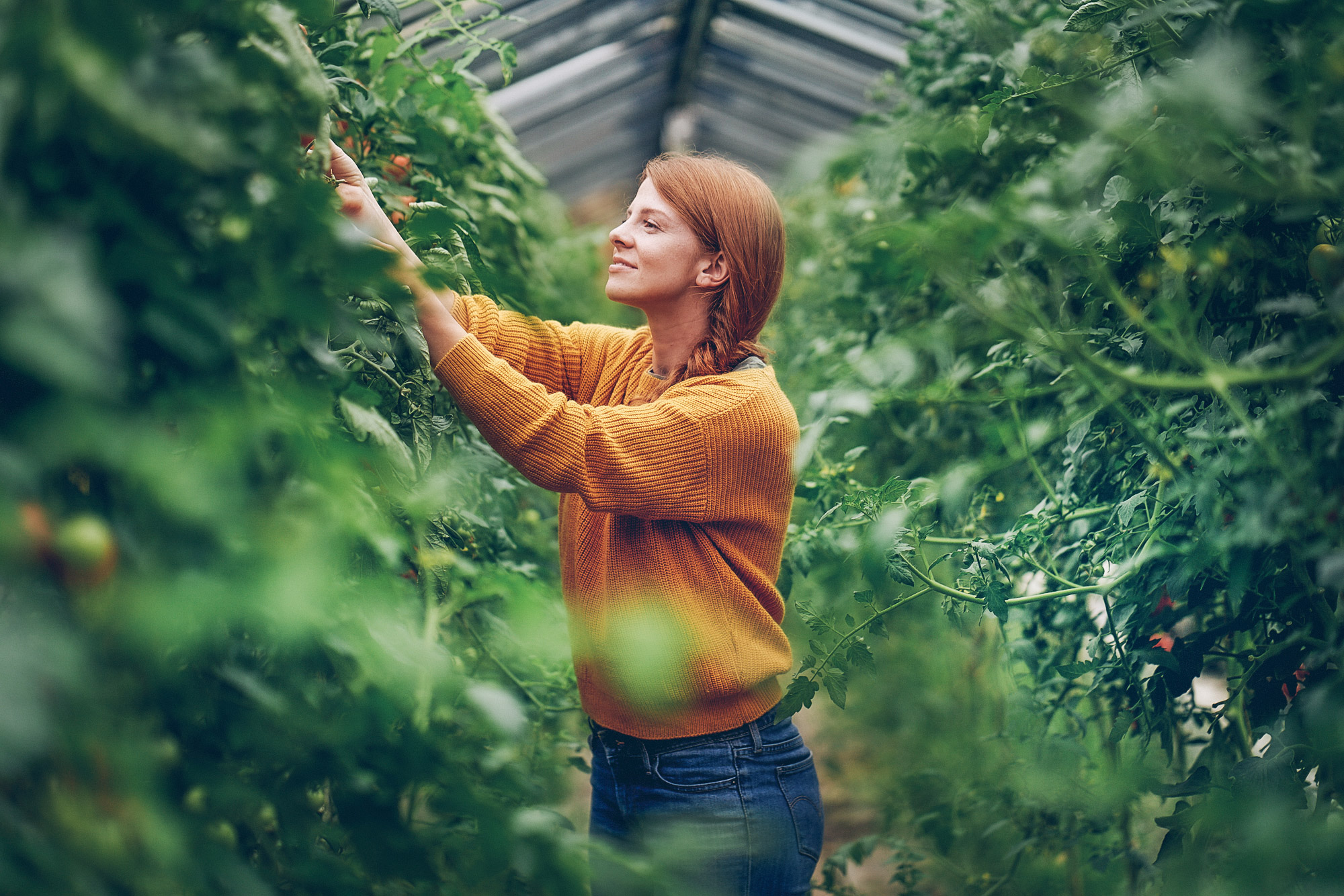 SEBASTIAN KNOTH FOTOGRAFIE