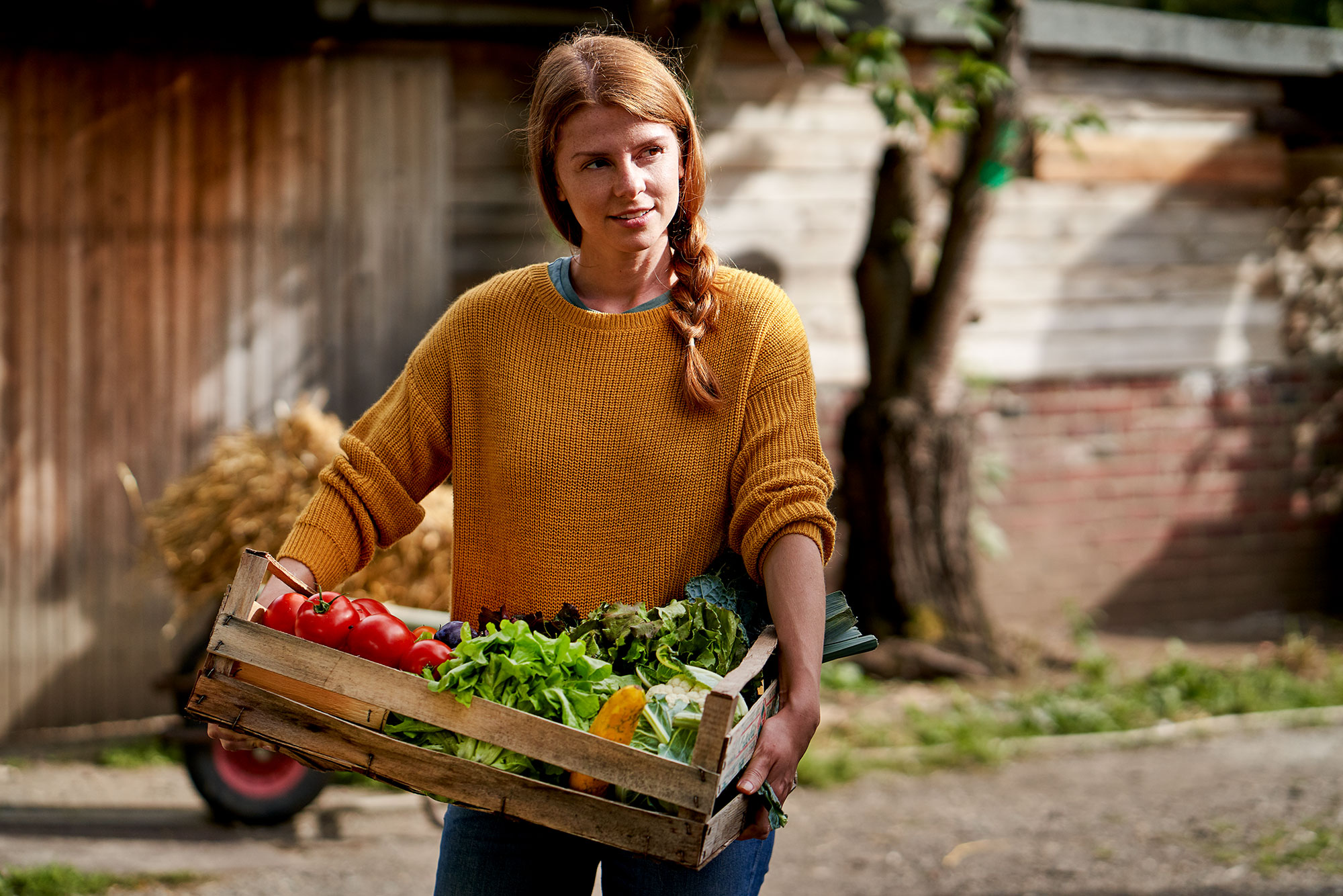 SEBASTIAN KNOTH FOTOGRAFIE