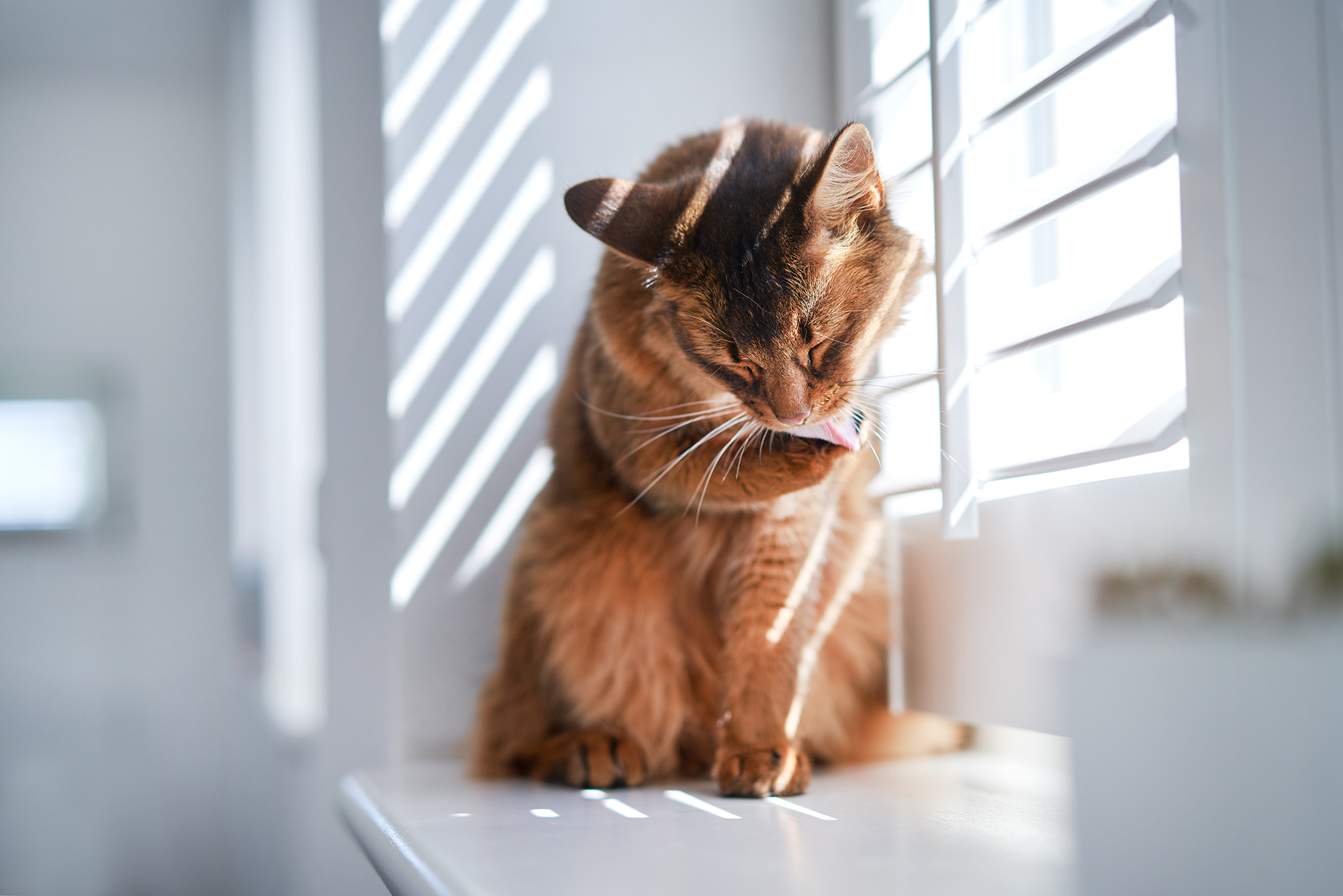 SEBASTIAN KNOTH FOTOGRAFIE