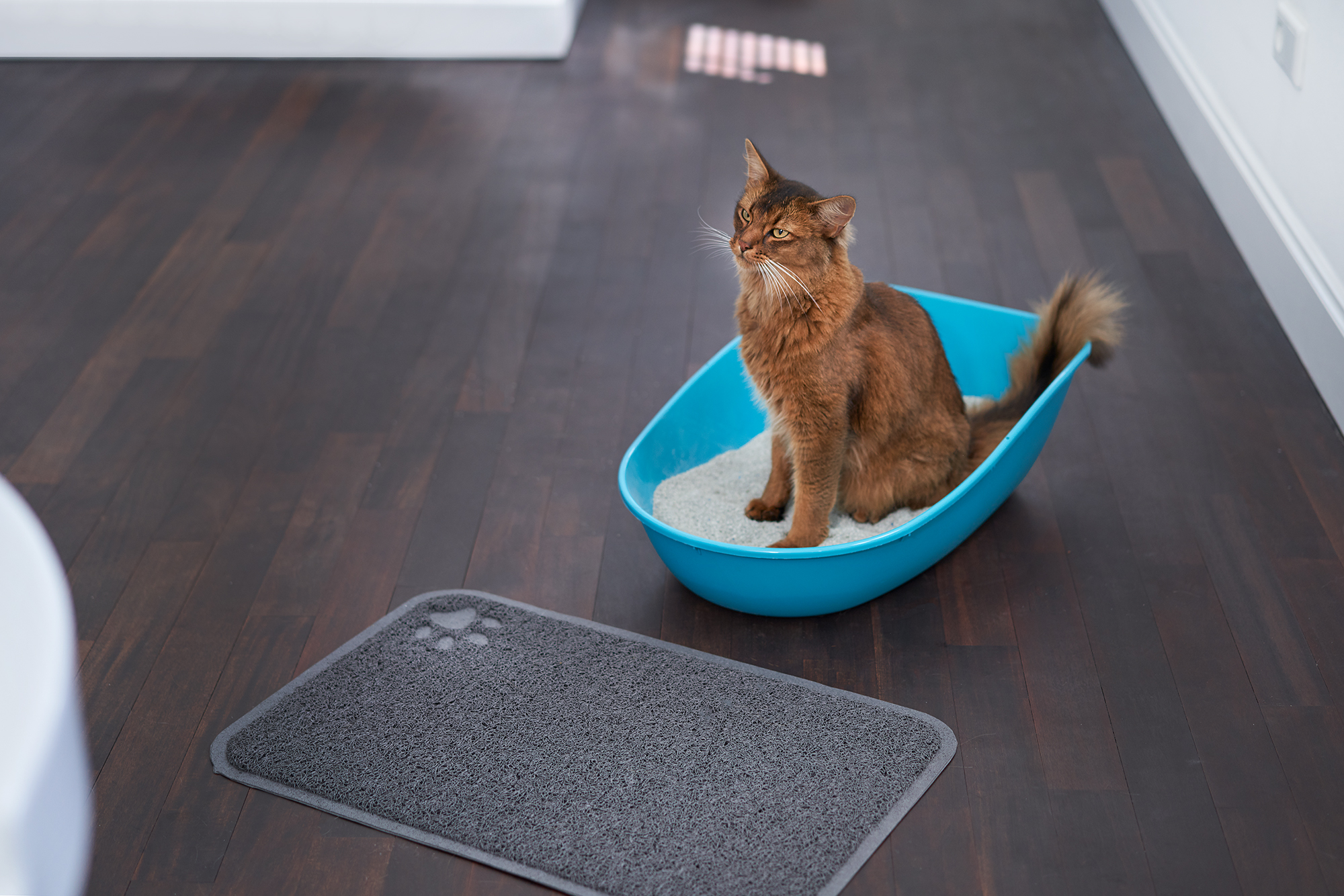 SEBASTIAN KNOTH FOTOGRAFIE