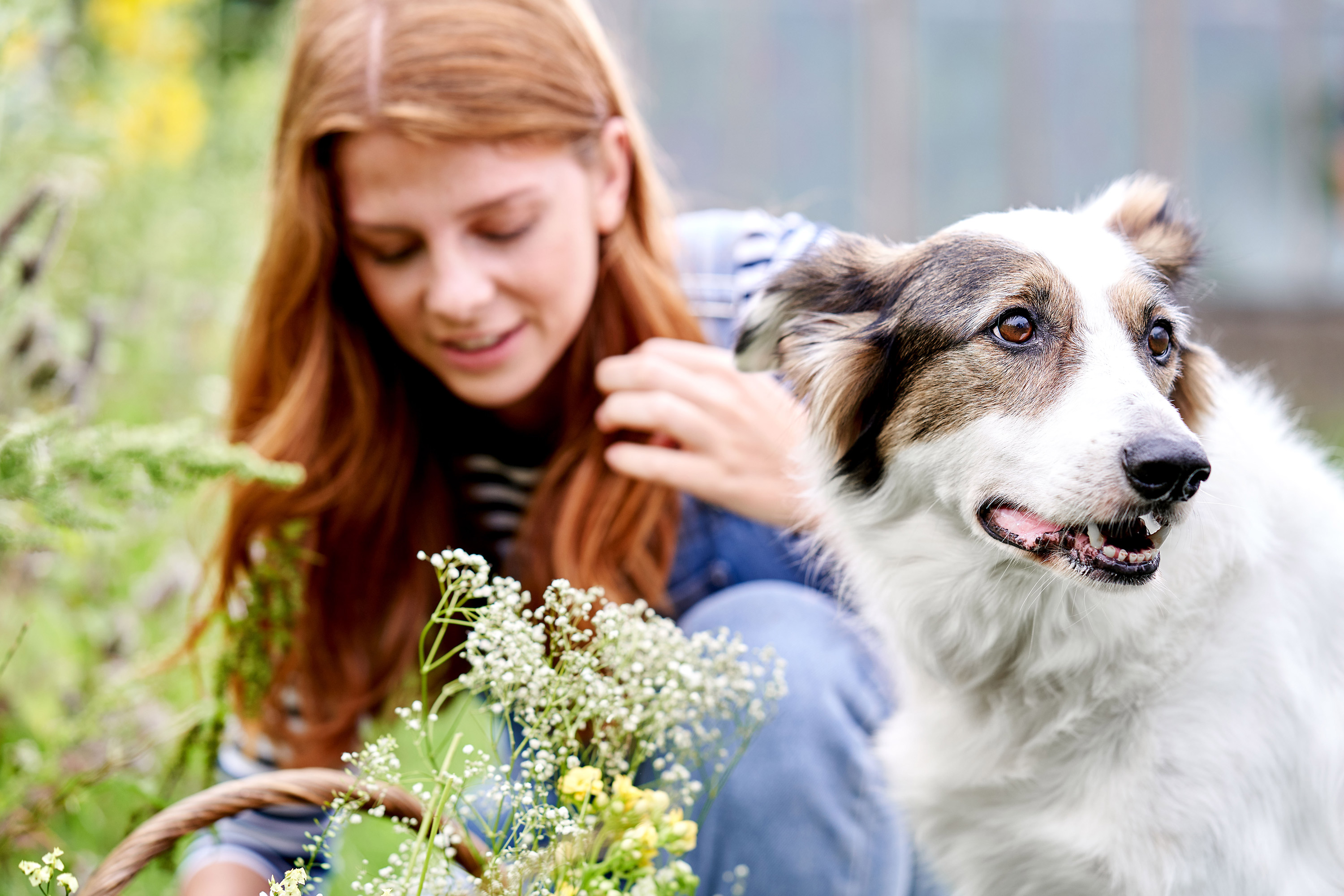 SEBASTIAN KNOTH FOTOGRAFIE