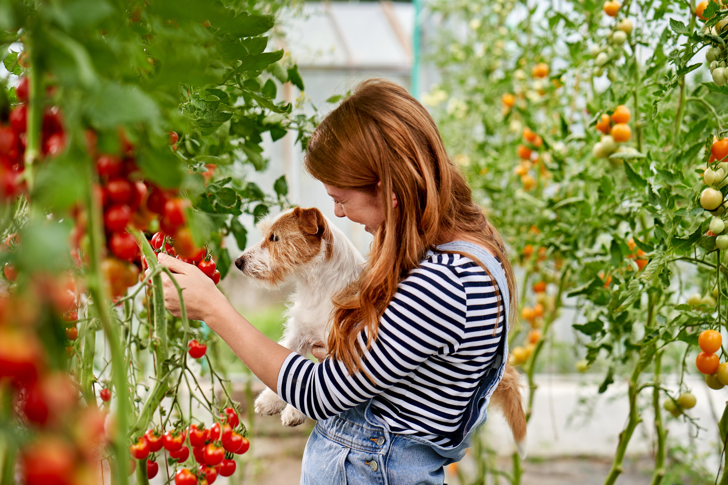 SEBASTIAN KNOTH FOTOGRAFIE