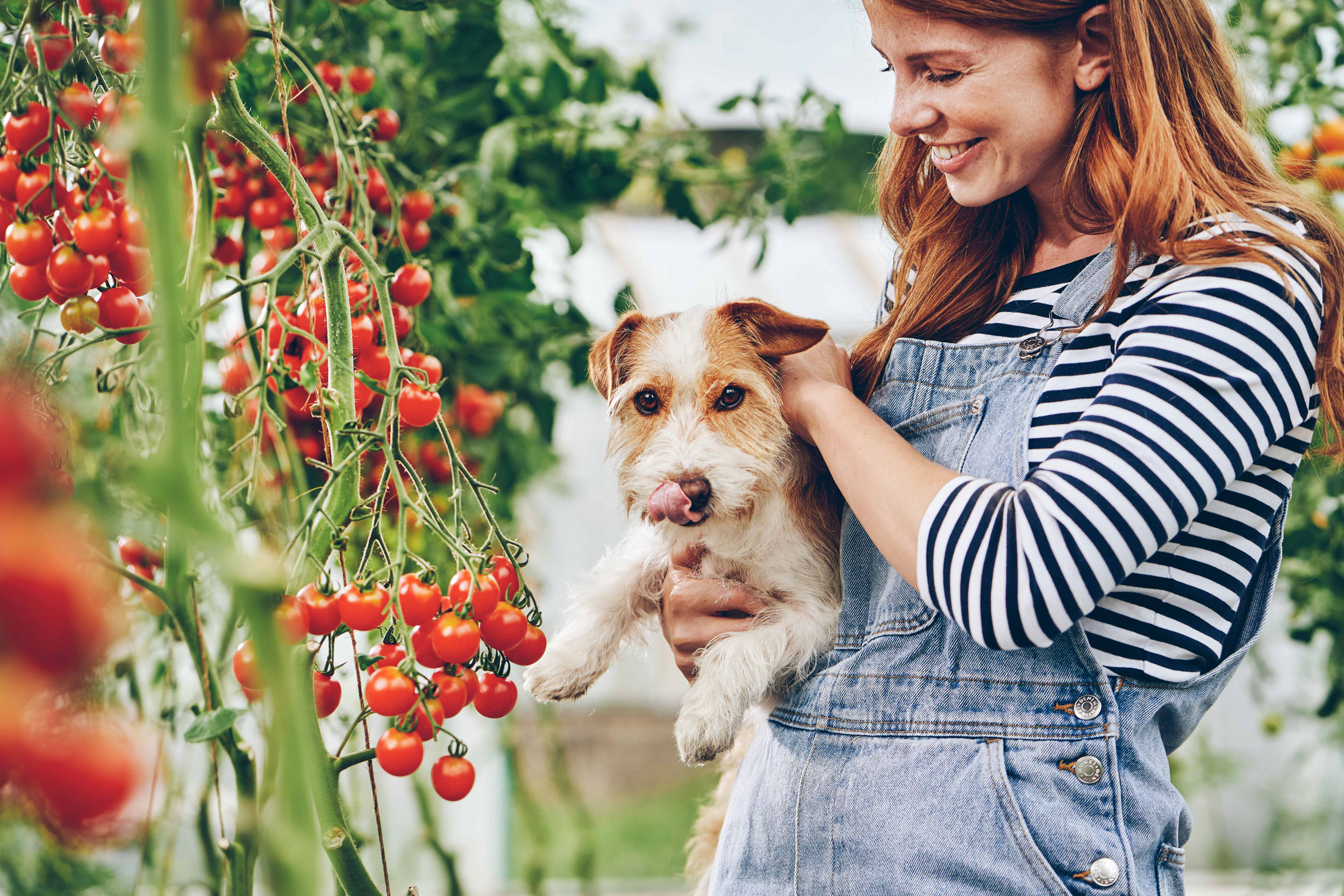 SEBASTIAN KNOTH FOTOGRAFIE