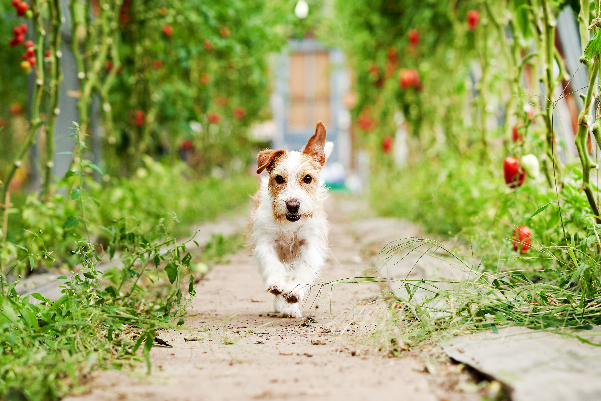 SEBASTIAN KNOTH FOTOGRAFIE