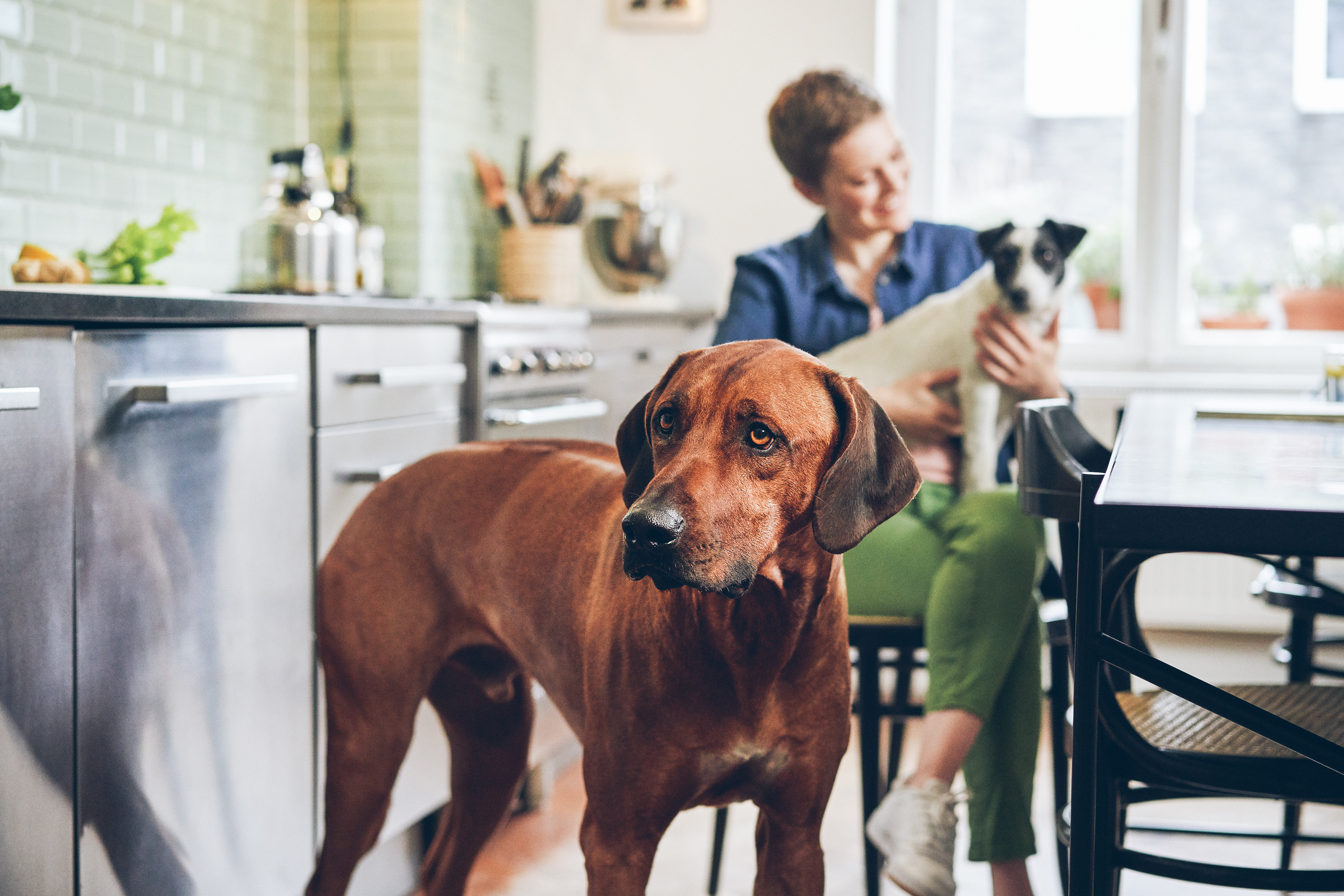 SEBASTIAN KNOTH FOTOGRAFIE