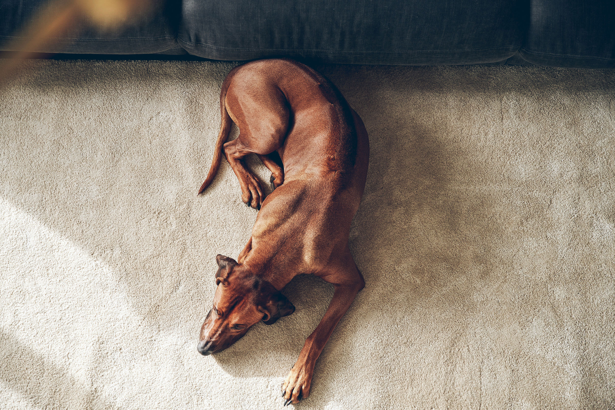 SEBASTIAN KNOTH FOTOGRAFIE