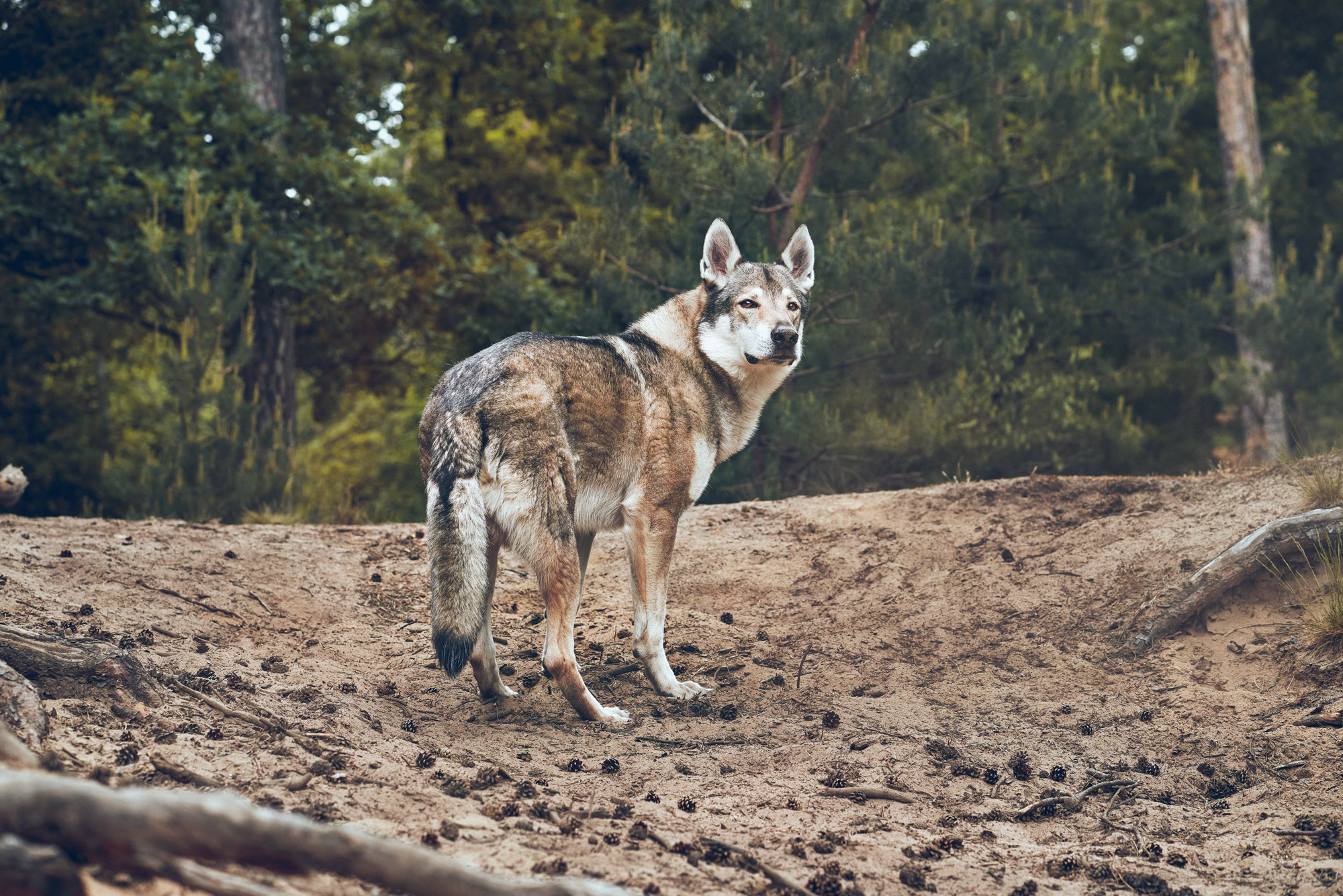 SEBASTIAN KNOTH FOTOGRAFIE