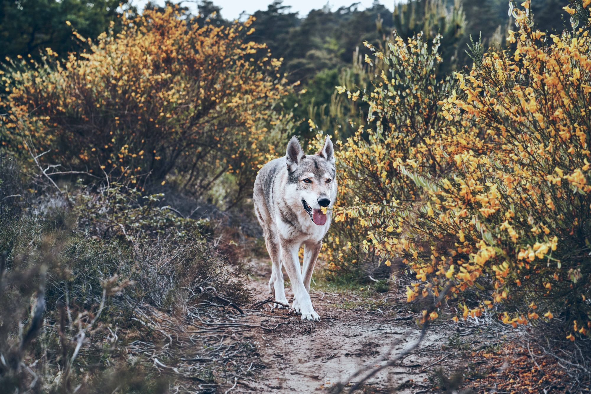 SEBASTIAN KNOTH FOTOGRAFIE