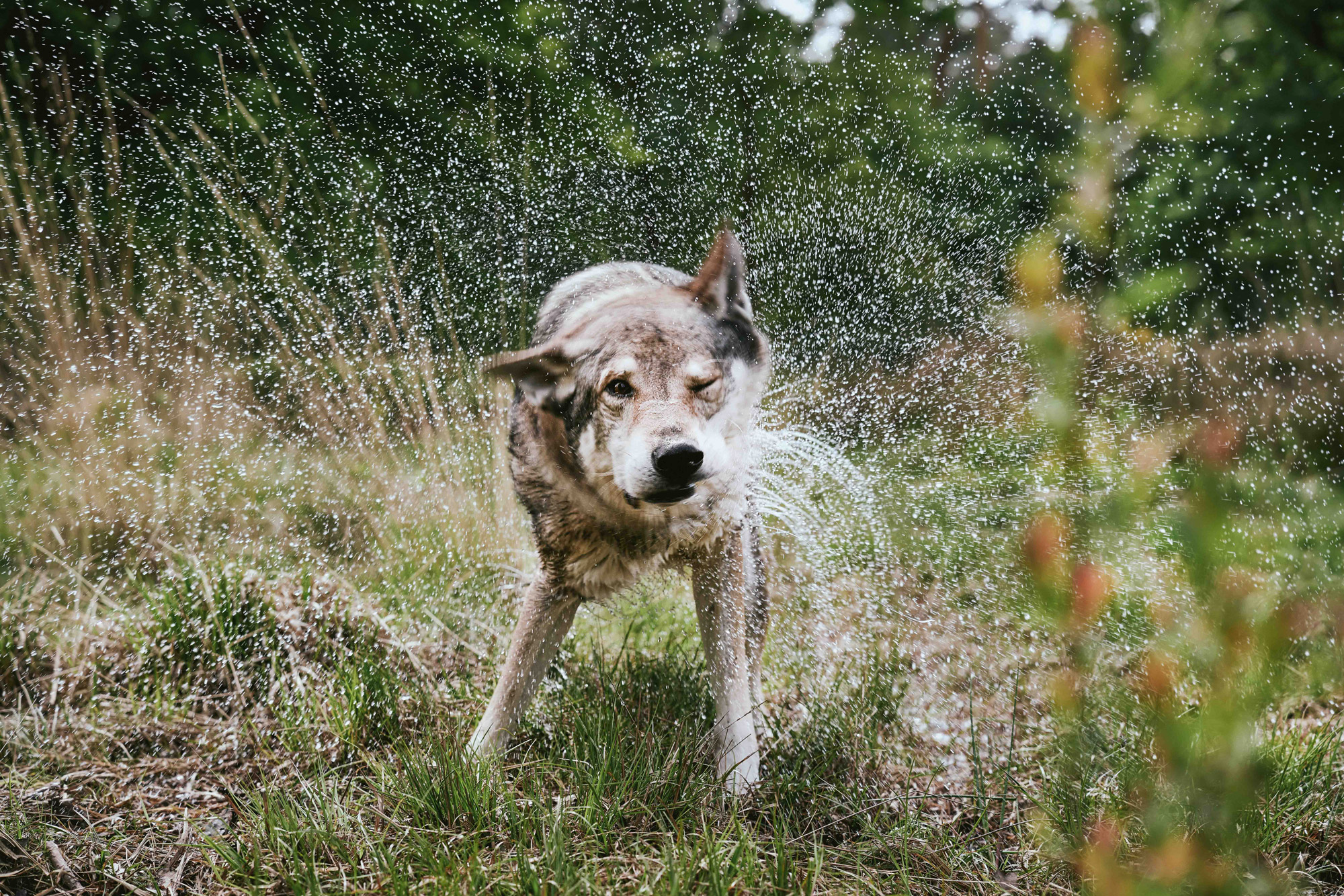 SEBASTIAN KNOTH FOTOGRAFIE