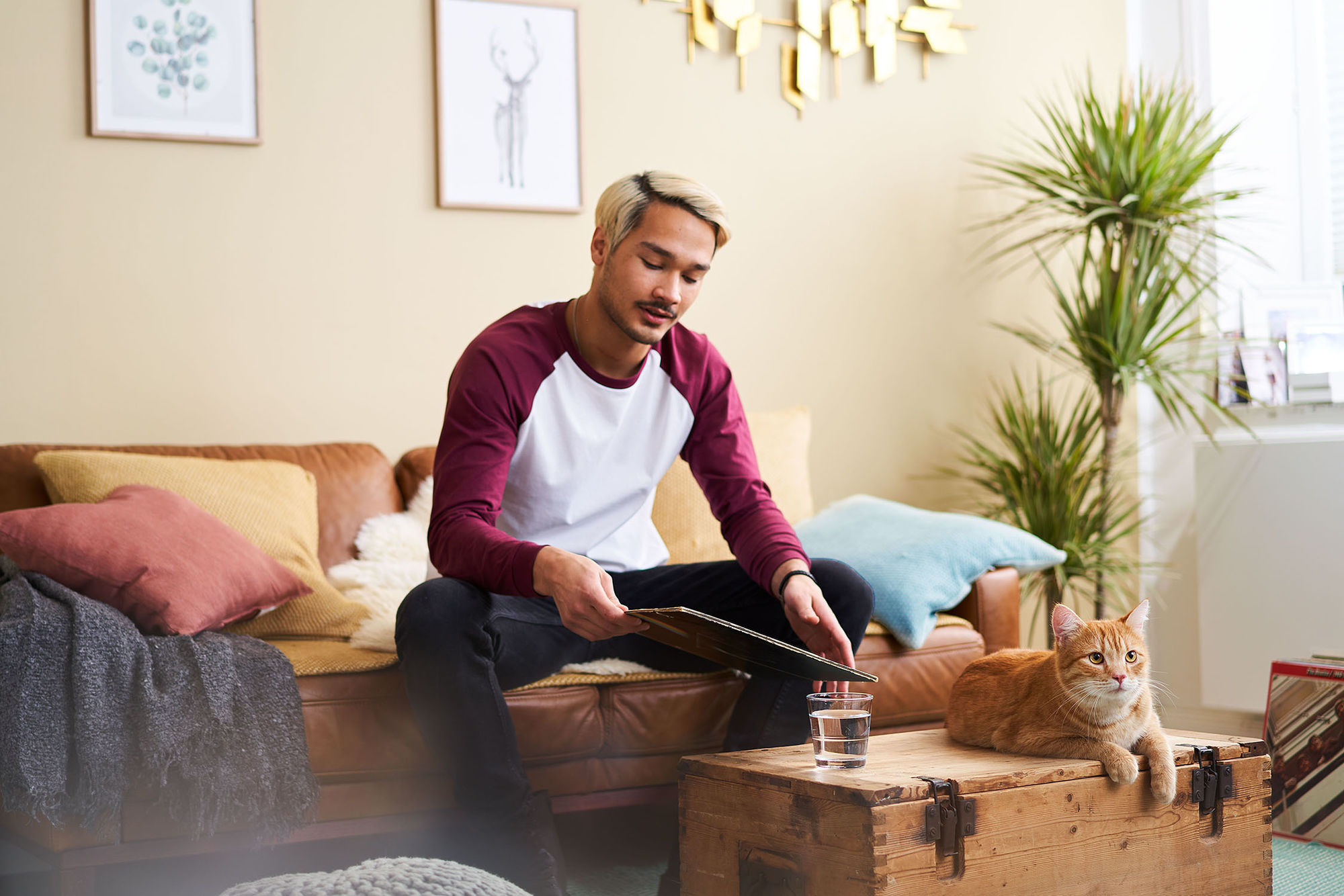 SEBASTIAN KNOTH FOTOGRAFIE