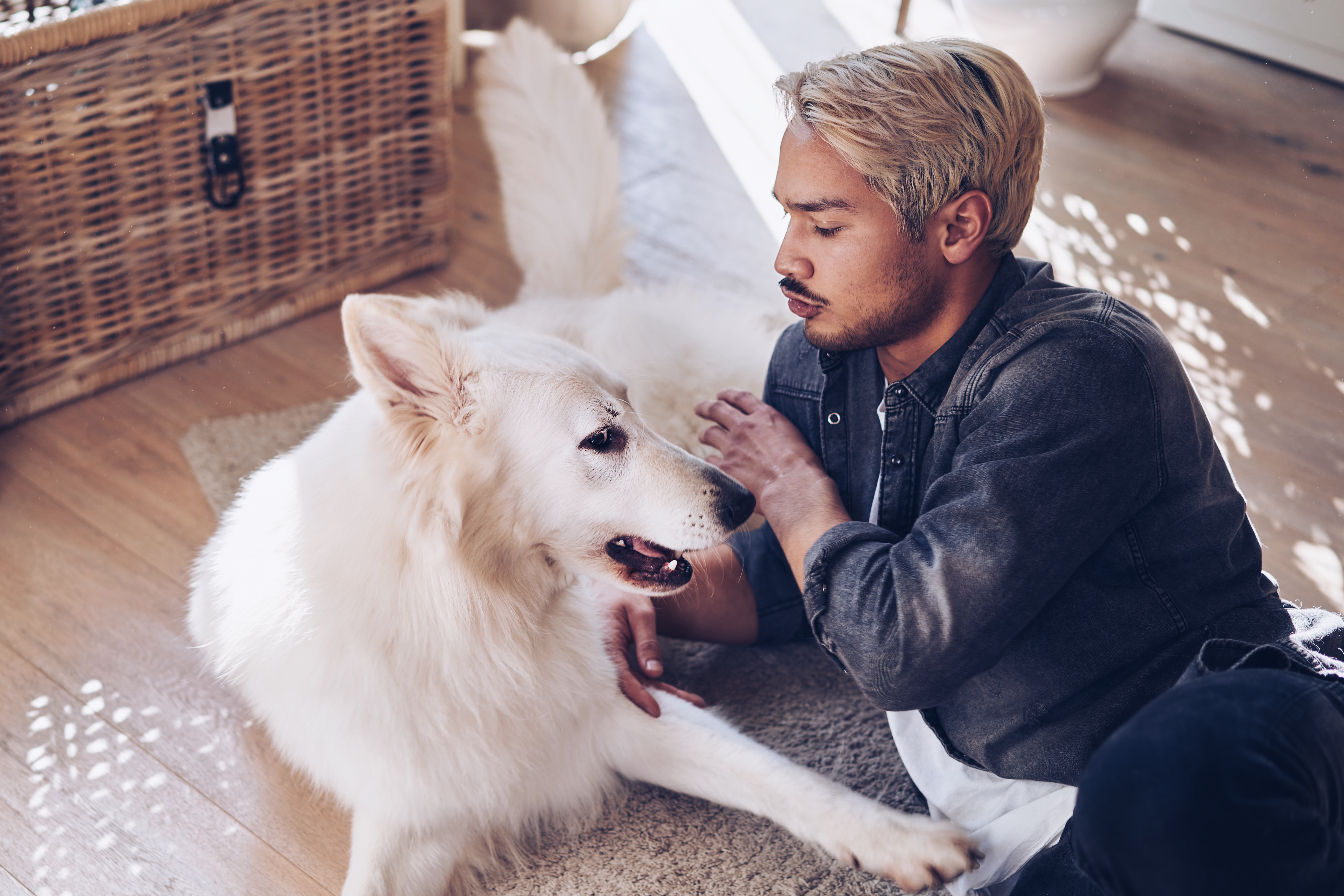 SEBASTIAN KNOTH FOTOGRAFIE