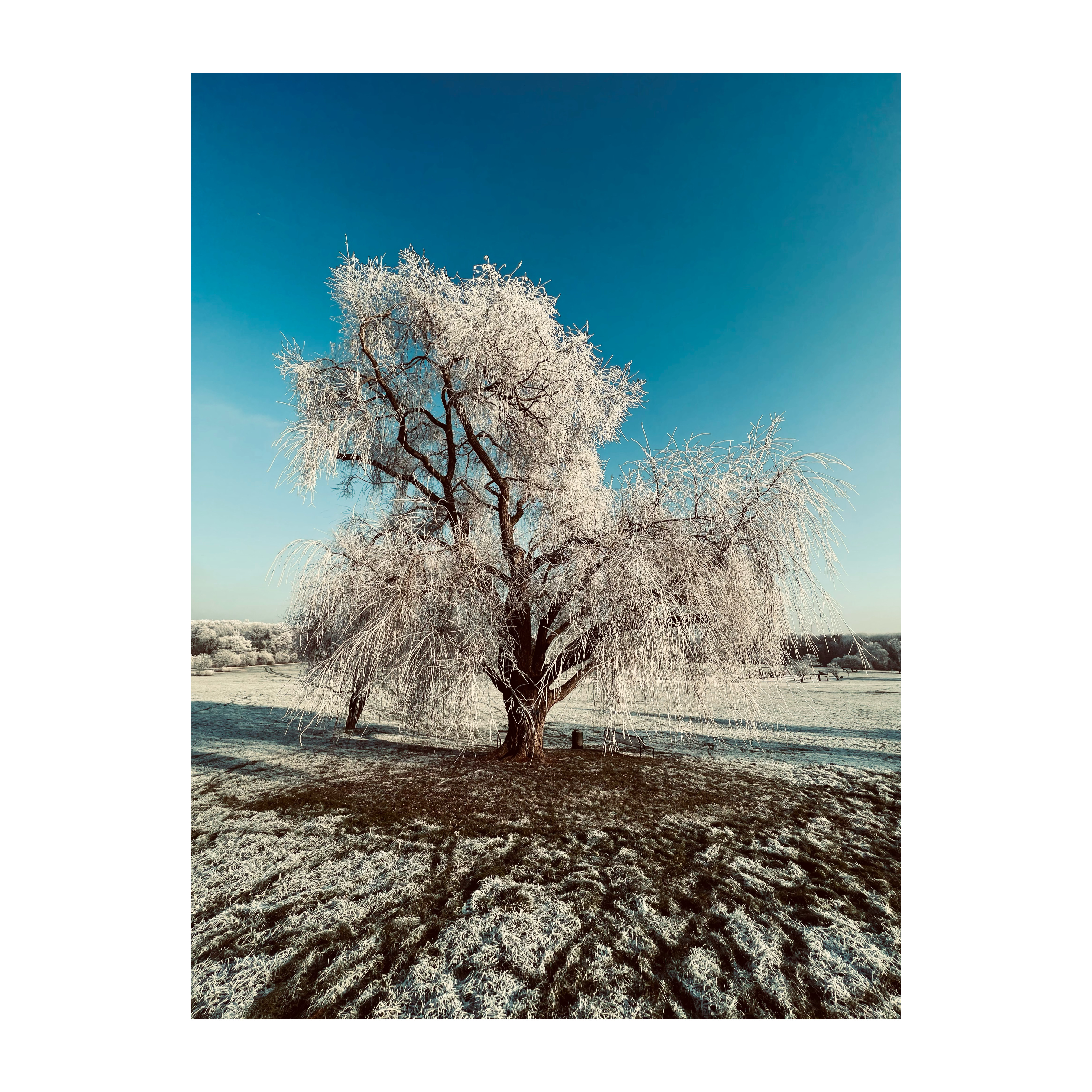 SEBASTIAN KNOTH FOTOGRAFIE