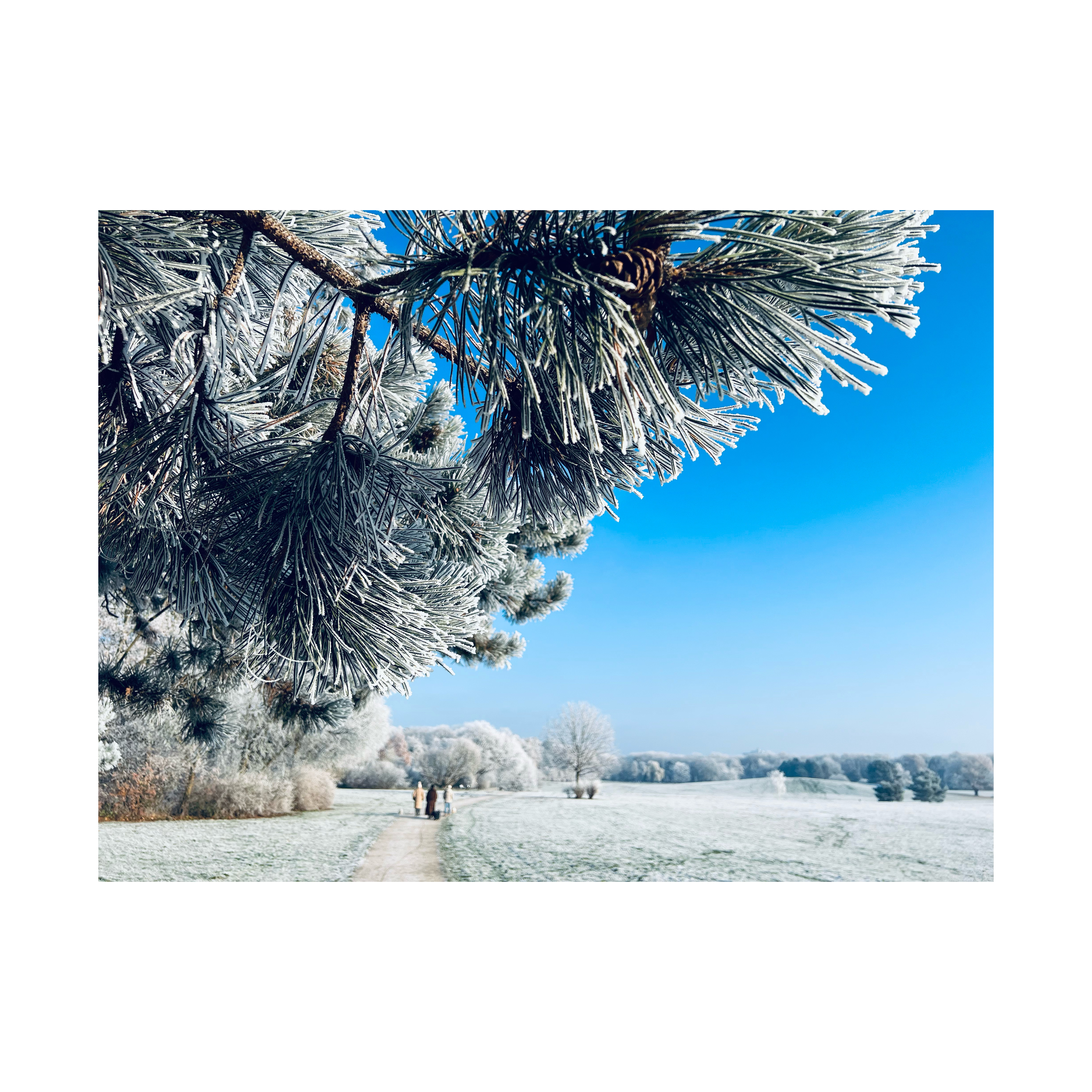 SEBASTIAN KNOTH FOTOGRAFIE