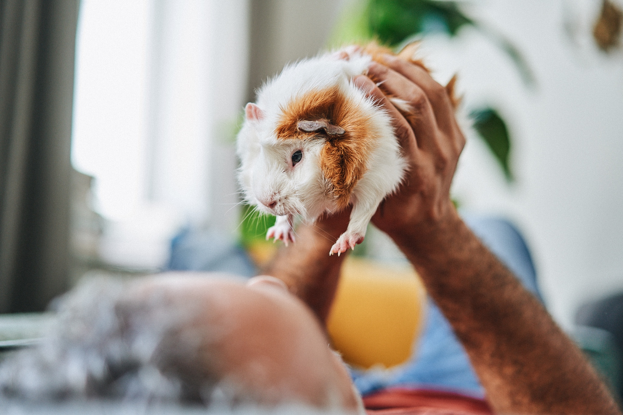 SEBASTIAN KNOTH FOTOGRAFIE